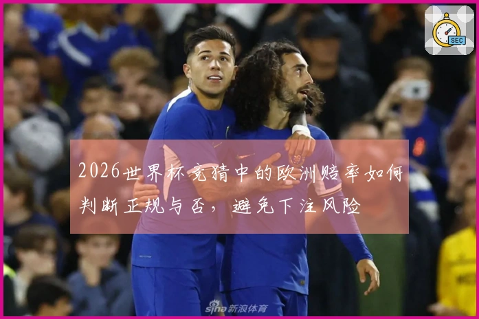 2026世界杯竞猜中的欧洲赔率如何判断正规与否,避免下注风险