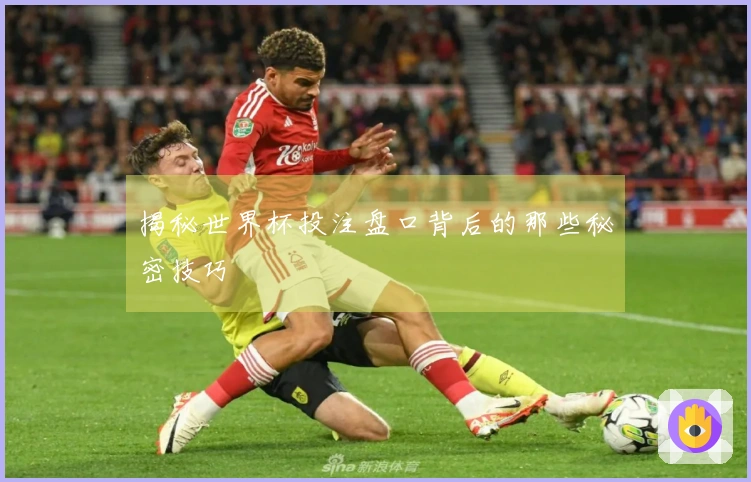 揭秘世界杯投注盘口背后的那些秘密技巧