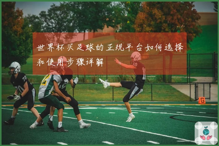 世界杯买足球的正规平台如何选择和使用步骤详解