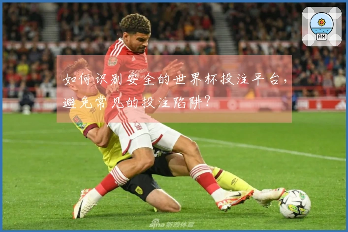 如何识别安全的世界杯投注平台，避免常见的投注陷阱？