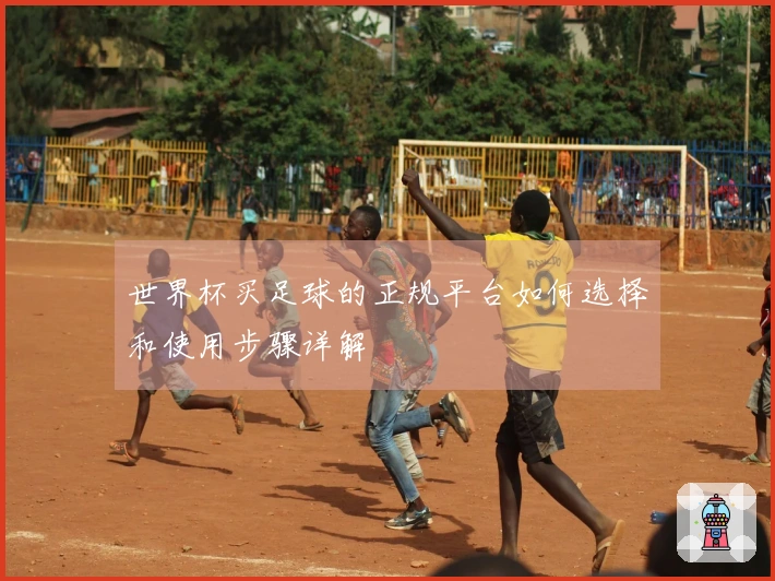 世界杯买足球的正规平台如何选择和使用步骤详解